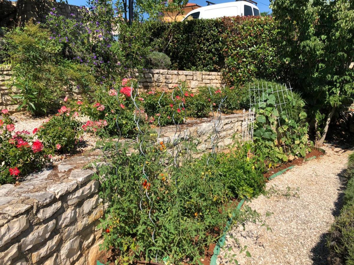 Casa Stefanie Villa Kaštelir Exterior foto